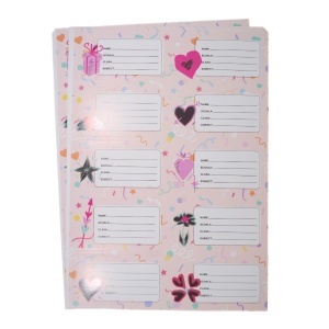 Etichete scolare autoadezive M-2 5x9cm 10 coli x 10 buc/set