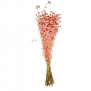 Floare in roz deschis