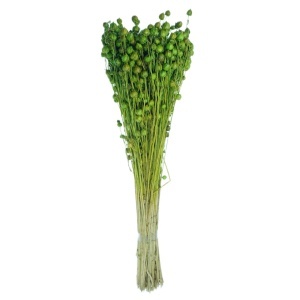 Floare in verde deschis