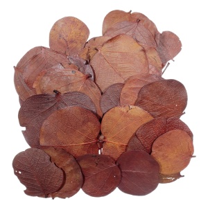 Frunza moneta ruginie 12g CS4013044304