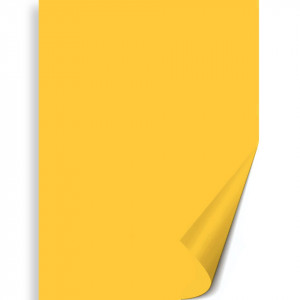 Hartie 50x70cm 130g Meyco 272 - Img 16