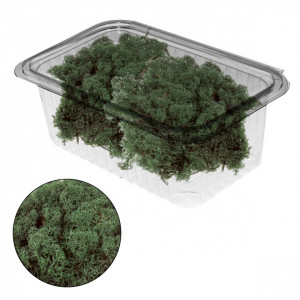 Licheni stabilizati 150g 677*** Deco - Img 10