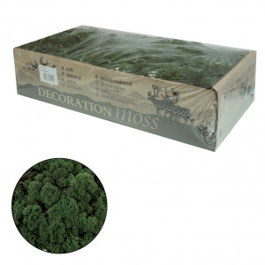 Licheni stabilizati 500g 677** Deco - Img 13