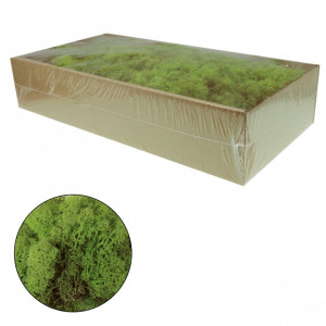 Licheni stabilizati 500g 677** Deco - Img 10