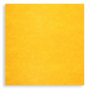 Pasla tare 49,5x50cm x 2mm galben soare