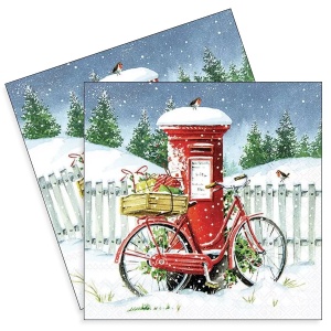 Servetel Bicicleta si cutie postala 33x33cm 2/set 33318920