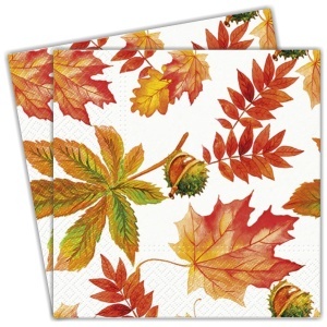 Servetel Castane si frunze toamna 33x33cm 2/set SDL136500