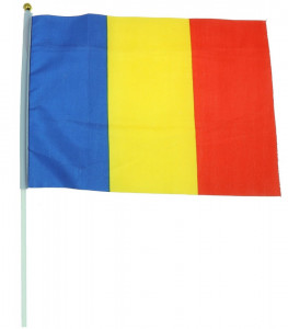 Steag tricolor 45x30cm 503324