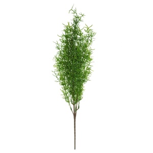 Asparagus cu 7 ramificatii 57cm