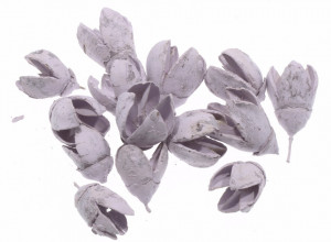 Bakuli lila 29g CS2025570319