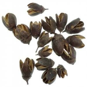 Bakuli natur 50g