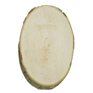 Blat cu scoarta anin oval 14/16x25/35x2cm