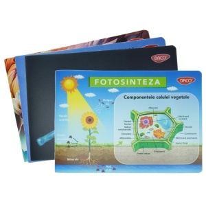Caiet mic biologie coperta plastic culori diverse 17x24cm 70g 24 file Daco CT304