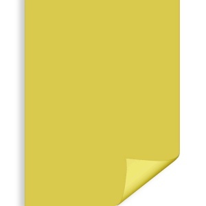 Carton color galben 70x100cm 270g Daco CN271G