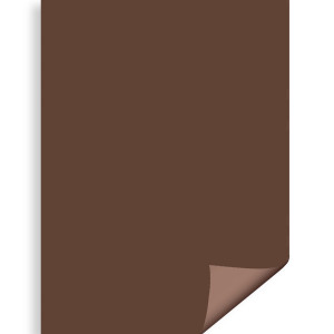 Carton color maro 70x100cm 270g Daco CN271CH