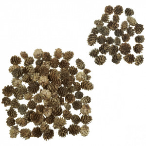 Con Larice chinez natur 2-3,5cm