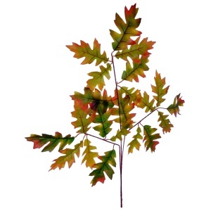 Creanga cu frunze stejar verde cu ruginiu 62cm