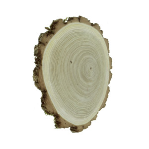 Felie lemn rotund/oval 8-13x1cm