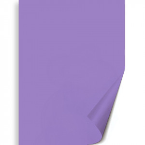Hartie 50x70cm 130g Meyco 272 - Img 7