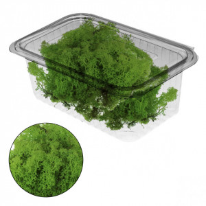 Licheni stabilizati 150g 677*** Deco - Img 11