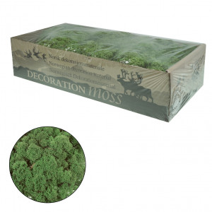Licheni stabilizati 500g 677** Deco - Img 14