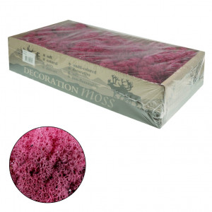 Licheni stabilizati 500g 677** Deco - Img 18