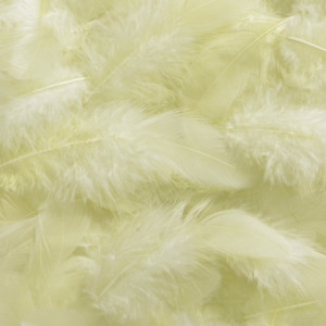 Pene 10g Canea HM0003 - Img 19