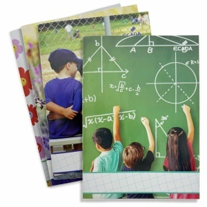 Caiet mic matematica cu patratele mari A5 80g 24 file Ecada 29524M