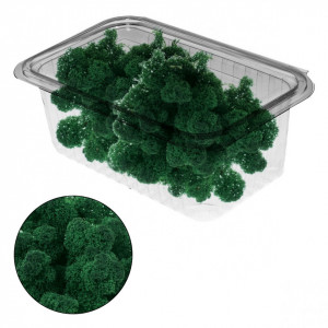 Licheni stabilizati 150g 677*** Deco - Img 12