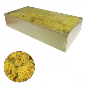 Licheni stabilizati 500g 677** Deco - Img 2