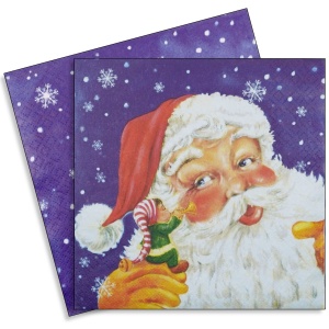 Servetel Mos Craciun si elf 33x33cm 2/set SDGW-005001