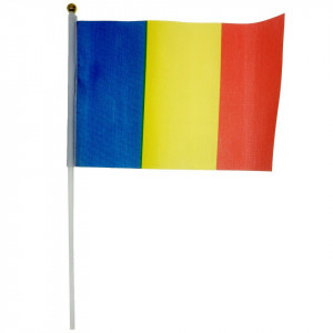 Steag tricolor 14X21cm