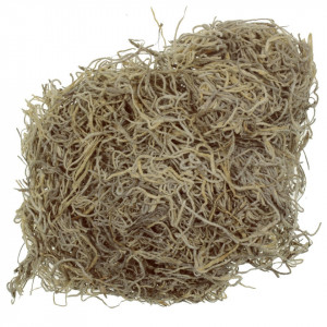 Tillandsia natur 20g