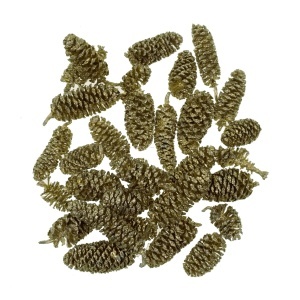 Con arin indian auriu 1-3cm 25g