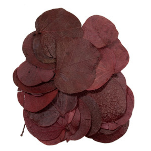 Frunza moneta bordo 10g