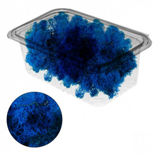 Licheni stabilizati 150g 677*** Deco - Img 3