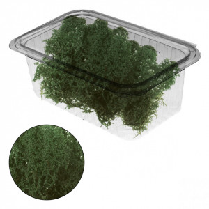 Licheni stabilizati 150g 677*** Deco - Img 13
