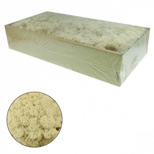 Licheni stabilizati 500g 677** Deco - Img 3