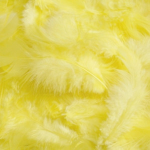 Pene 10g Canea HM0003 - Img 11