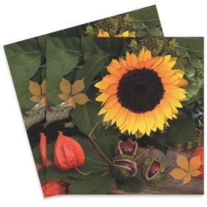Servetel Castane si floarea soarelui 33x33cm 2/set 342028