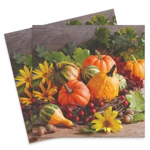 Servetel Dovleci 33x33cm 2/set 13320255