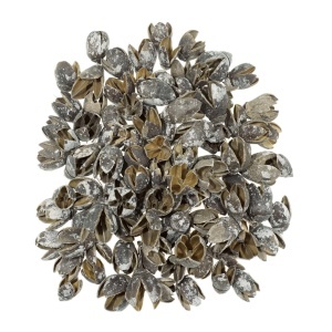 Bakuli inzapezit 200g