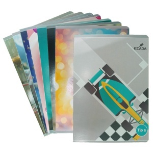 Caiet Tip 2 policromie A5 60g 24 file Ecada 29522