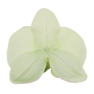 Cap orhidee textil crem/verde deschis 13cm 2/set - Img 2
