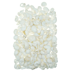 Cochilie melc Sakuli 2-4,5cm 1000g M108