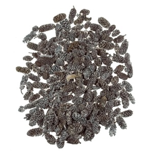 Con arin indian cu chiciura 120g