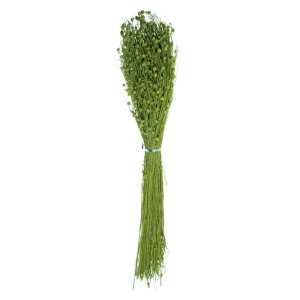 Floare in verde oliv deschis