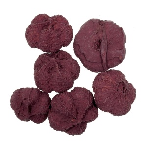 Usturoi rosu vin 20g CS2025400307
