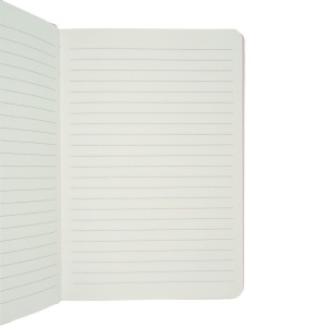 Agenda dictando cu coperta buretata A5 80 file culori diverse 25-28 - Img 2