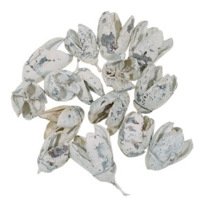 Bakuli albit 29g